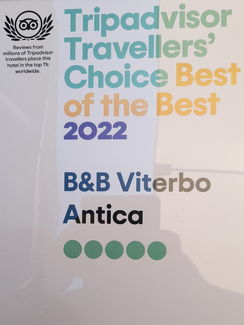trip best the best.jpg