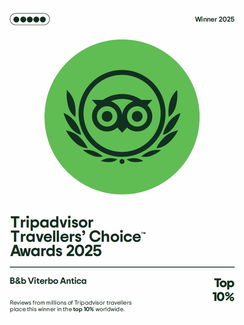 tripadvisor 2025.jpg